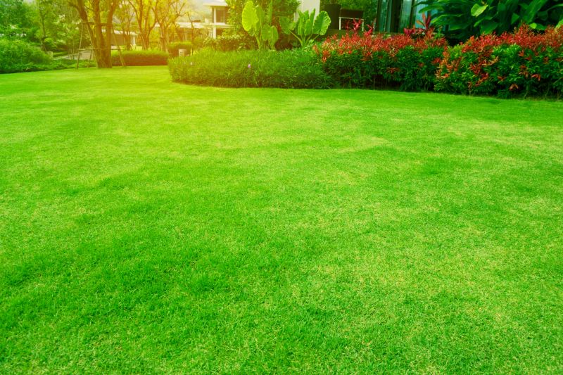 Completed Landscape with Lawn