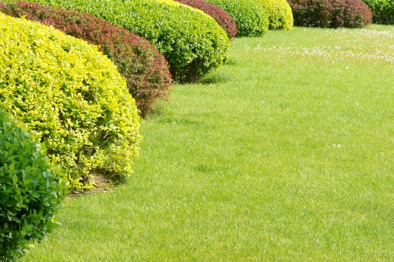 Shrub Landscaping