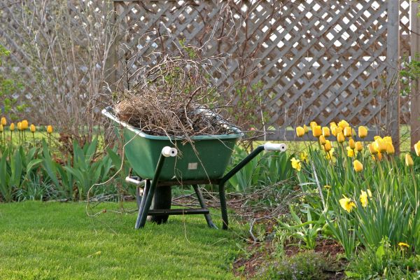 Flower Bed Cleanup Service in Citrus Heights