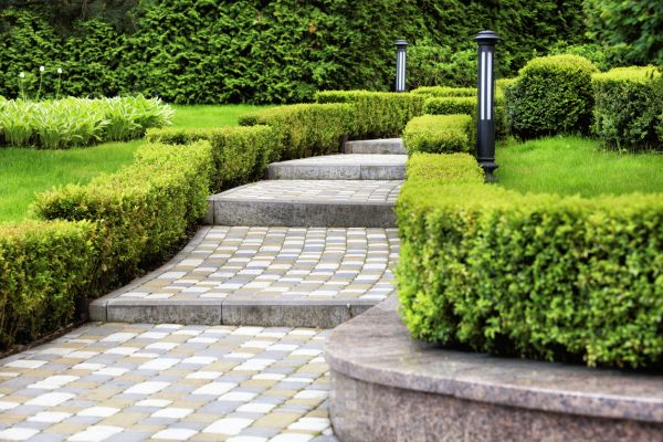 Backyard Remodeling in Citrus Heights