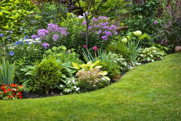 Flower Bed Service in Citrus Heights