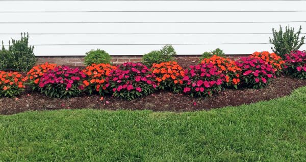 Flower Bed Weeding Service in Citrus Heights