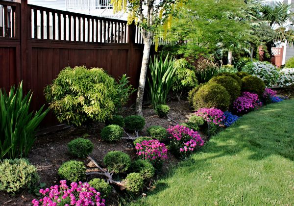 Garden Care Service in Citrus Heights