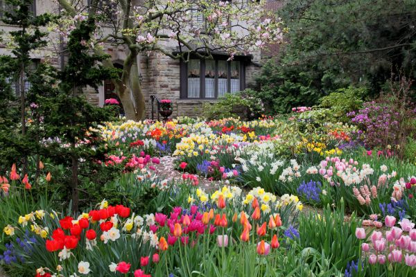 Garden Maintenance Service in Citrus Heights