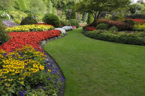 Landscaping Maintenance in Citrus Heights