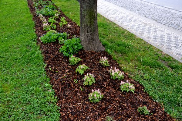 Mulch Replacement Service in Citrus Heights