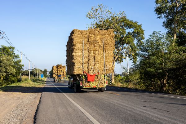 Pine Straw Delivery in Citrus Heights