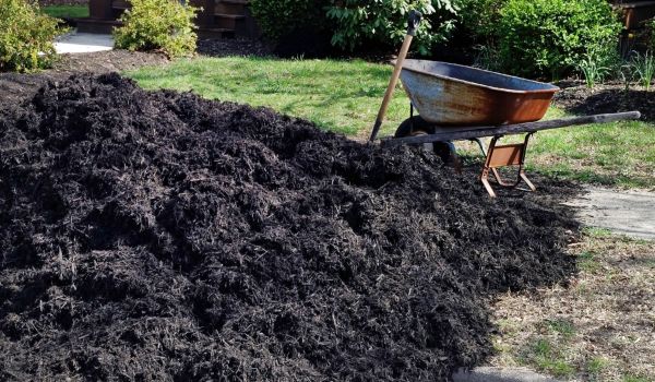 Black Mulch Delivery in Citrus Heights