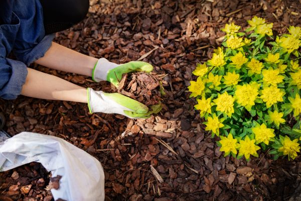 Garden Mulching in Citrus Heights