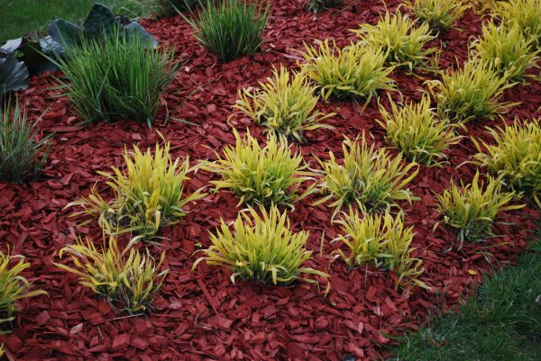 Mulch Landscaping in Citrus Heights