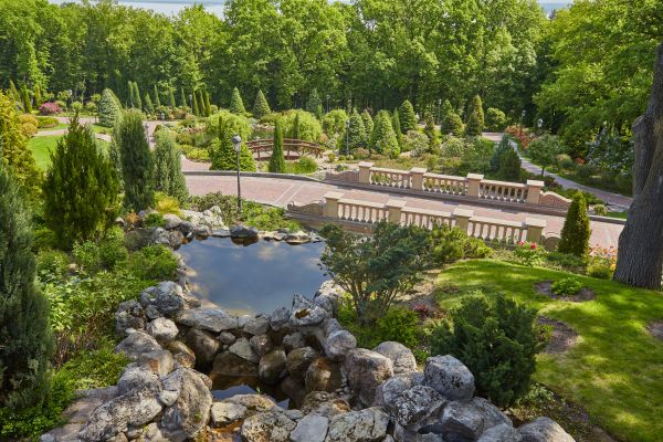 Landscape Architecture Service in Citrus Heights