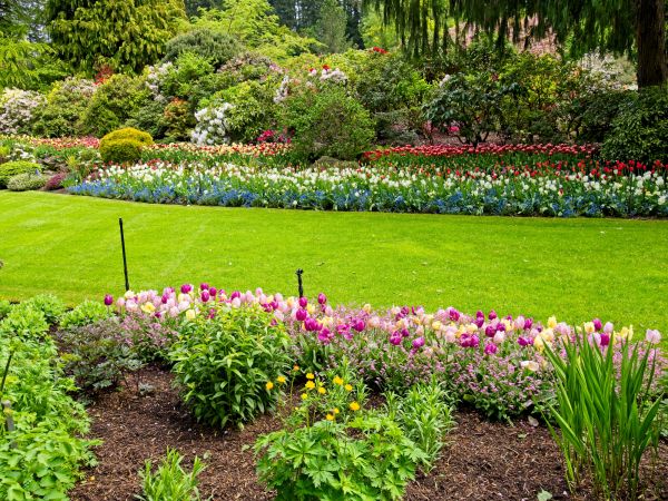 Residential Landscape Design in Citrus Heights