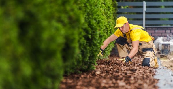 Cypress Mulch Installation in Citrus Heights