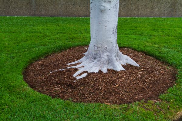 Brown Mulch Installation in Citrus Heights