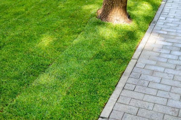 Border Stone Installation in Citrus Heights