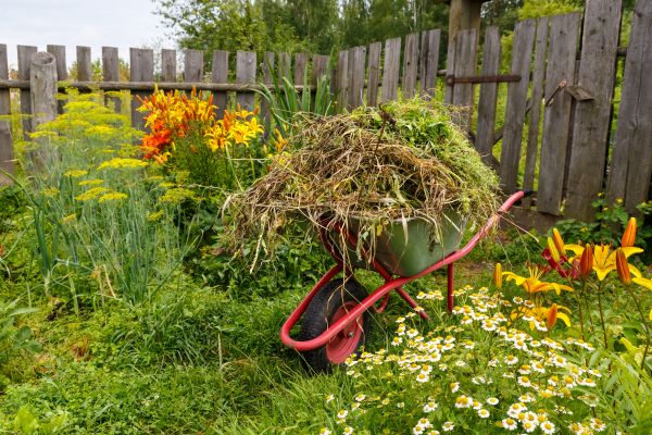 Garden Cleanup Service in Citrus Heights