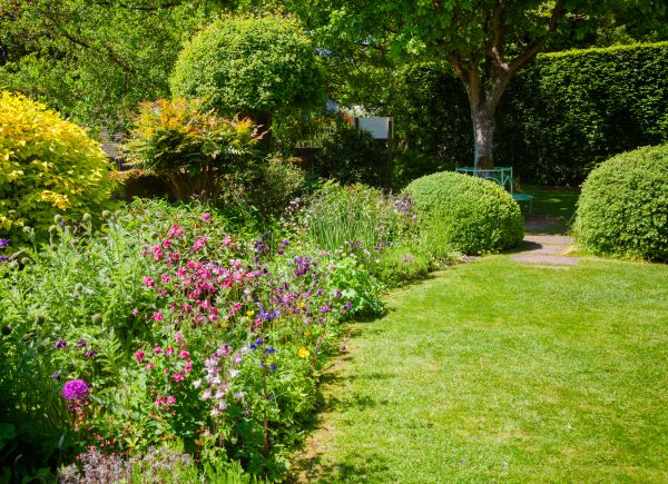 Yard Landscaping Service in Citrus Heights