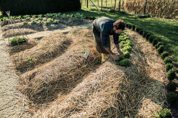 Straw Mulching Service in Citrus Heights