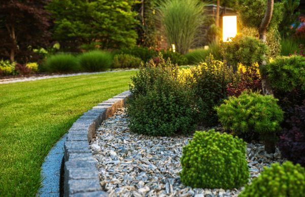 Landscaping Service in Citrus Heights