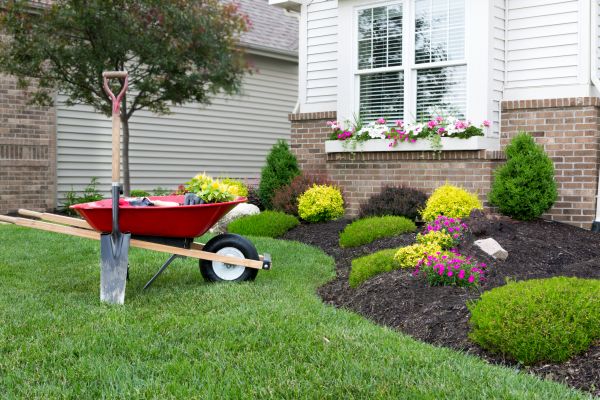 Tree And Shrub Planting in Citrus Heights