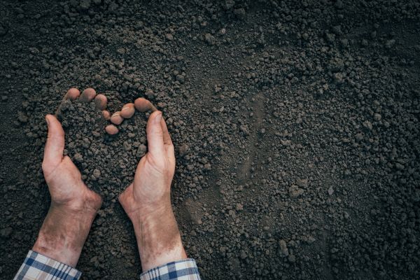 Soil Installation in Citrus Heights