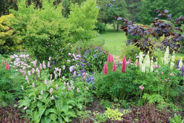 Flower Bed Planting in Citrus Heights