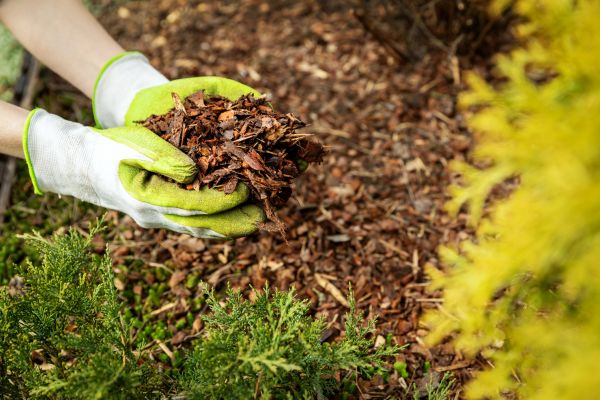 Garden Mulch Delivery in Citrus Heights