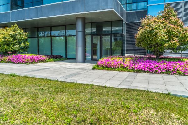 Commercial Gardening in Citrus Heights