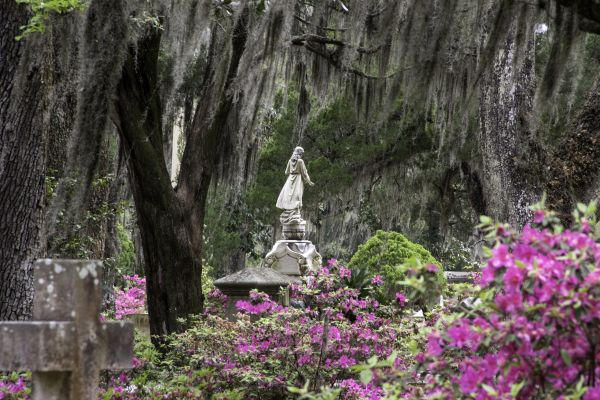 Cemetery Landscaping in Citrus Heights