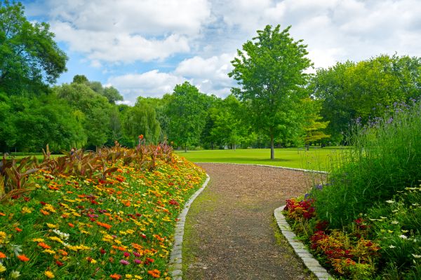 Park Landscaping in Citrus Heights
