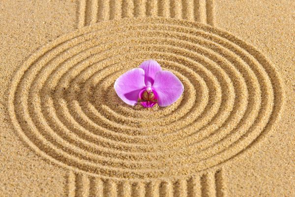 Sand Garden Landscaping in Citrus Heights