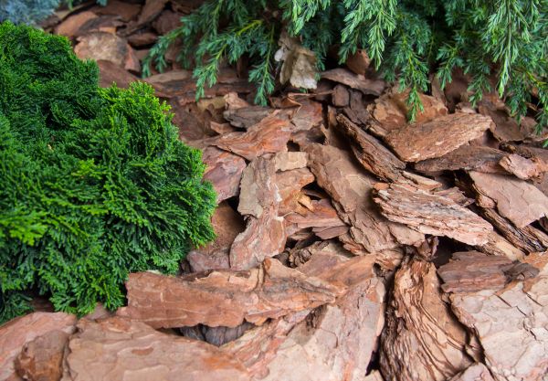 Pine Bark Installation in Citrus Heights