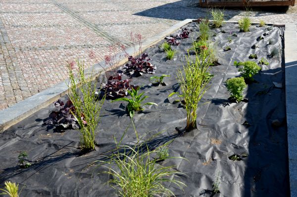 Landscape Fabric Installation in Citrus Heights