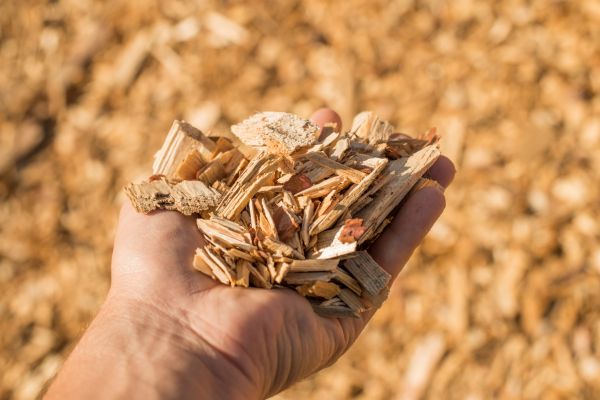 Wood Chips Spreading in Citrus Heights