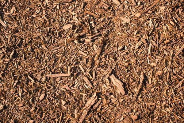 Wood Chips Removal in Citrus Heights