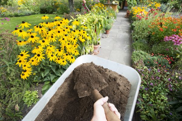 Topsoil Replacement in Citrus Heights