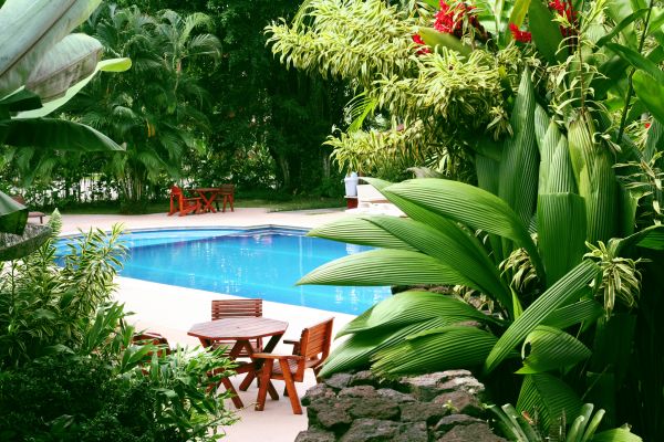 Pool Area Landscaping in Citrus Heights