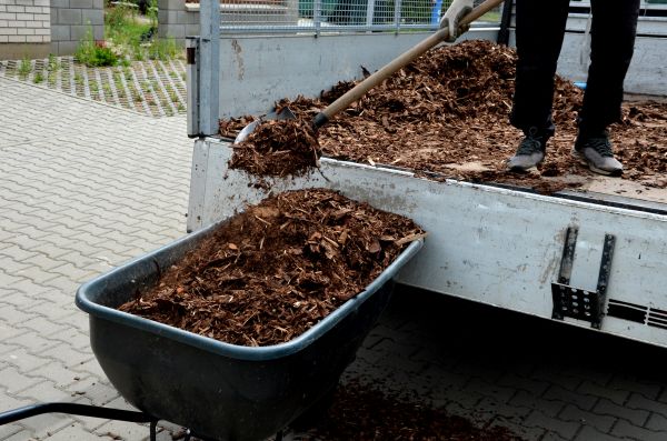 Playground Mulch Delivery in Citrus Heights