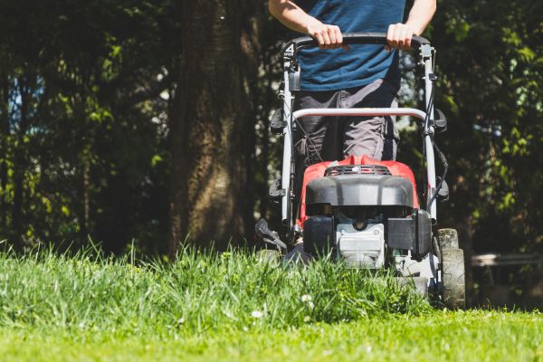 Garden Trimming Service in Citrus Heights