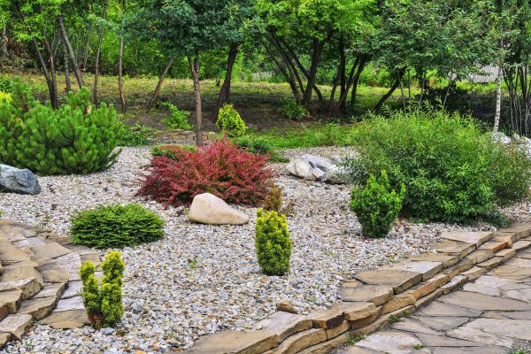 Hardscape Landscaping in Citrus Heights
