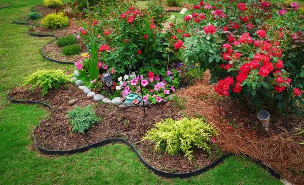Floral Landscaping in Citrus Heights