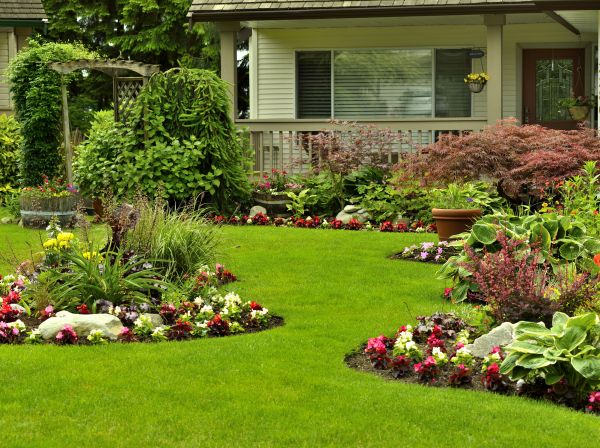 Flower Garden Planting in Citrus Heights