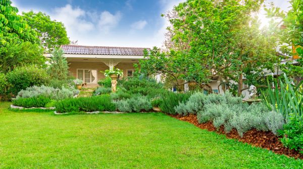Greenery Planting in Citrus Heights
