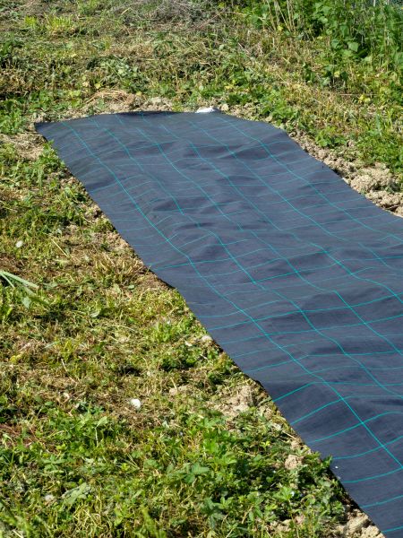 Weed Suppressant Installation in Citrus Heights