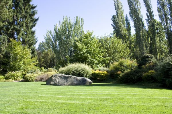 Yard Enlargement in Citrus Heights