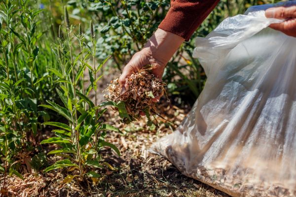 Wood Mulch Installation in Citrus Heights