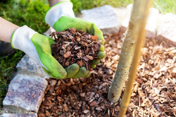Tree Bark Delivery in Citrus Heights