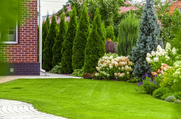 Spring Landscaping in Citrus Heights