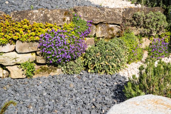 Landscaping Rocks Installation in Citrus Heights