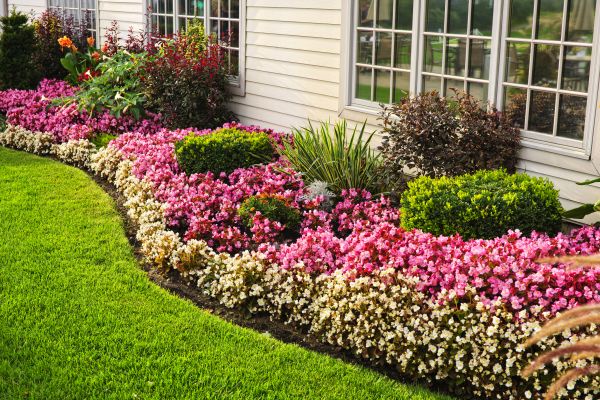 Garden Landscape Design in Citrus Heights